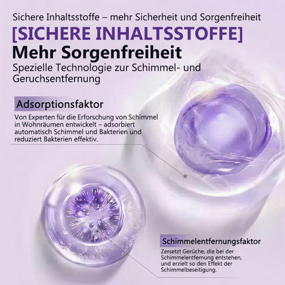 GFOUK® Schimmel-Entfernungs-Magiebox ✨ Stoppt Schimmel & Gerüche sofort! 🏠 24/7 Luftreinigung & Feuchtigkeitsschutz