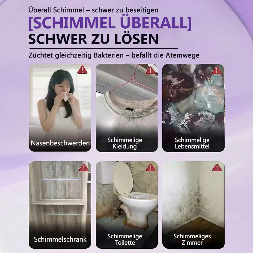 GFOUK® Schimmel-Entfernungs-Magiebox ✨ Stoppt Schimmel & Gerüche sofort! 🏠 24/7 Luftreinigung & Feuchtigkeitsschutz