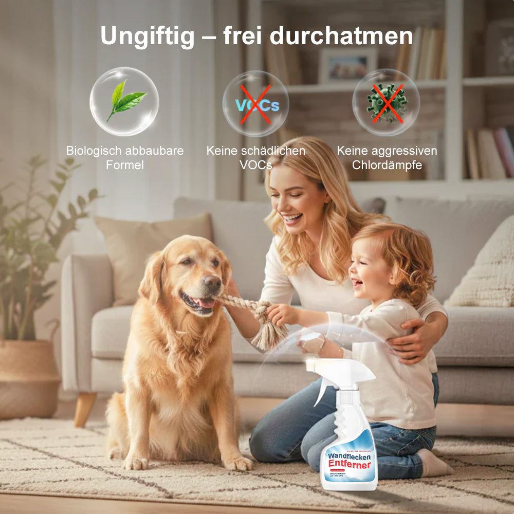 🔥🛡️Hochwirksames Schimmelspray – verhindert Schimmelneubildung. Schützen Sie Ihre und die Gesundheit Ihrer Familie🏠😌